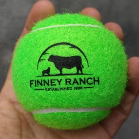 Tennisballen voor evenementen bedrukken | Tennisballen-...