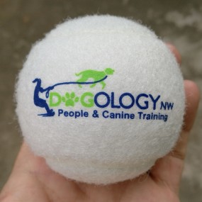 Tennisballen laten bedrukken vanaf 100 stuks | Tennisba...