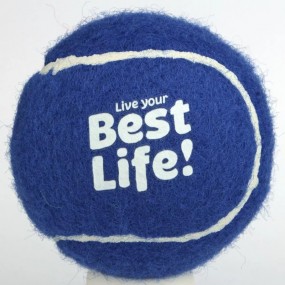 Premium tennisballen met logo | Tennisballen-bedrukken....