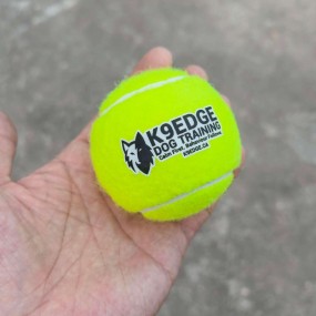 Fluorgele tennisballen met logo bedrukken