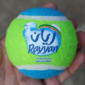 Tennisballen bedrukken met logo | Tennisballen-bedrukke...