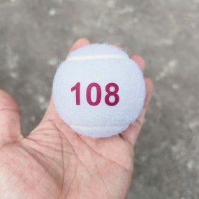 Witte tennisballen met logo bedrukken