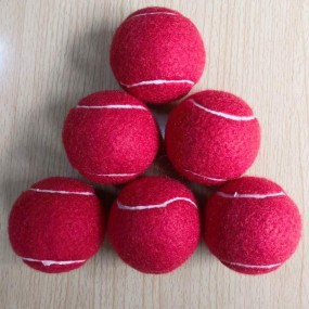 Gepersonaliseerde tennisballen voor tennisclubs en vere...